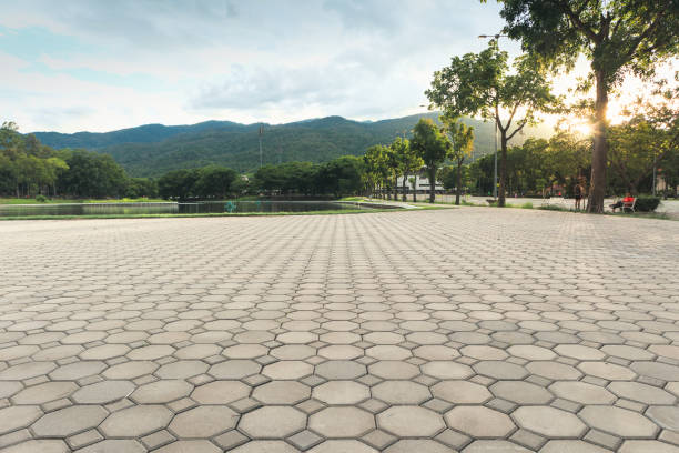 Best Driveway Pavers Near Me  in Manvel, TX