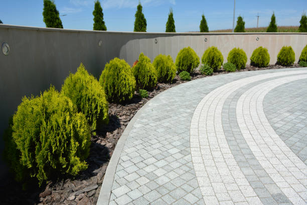 Best Brick Driveway Pavers  in Manvel, TX
